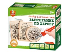 Аппарат для выжигания Десятое Королевство Набор для выжигания по дереву 04388
