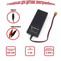 R-Wings Универсальное зарядное устройство для электромобиля - RWC300