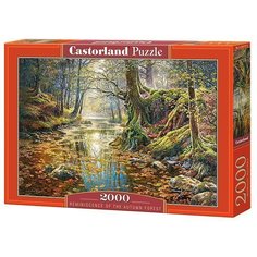 Пазл 2000 В осеннем лесу С-200757 Castor Land Castorland