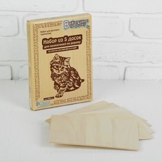 Доски для выжигания "Без рисунка. Для собственных идей", 5 шт.— 21 ? 16 ? 0,4 см Десятое королевство