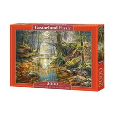 Пазл «Осенний лес», 2000 элементов Castorland
