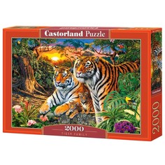 Пазл «Семья тигров», 2000 элементов Castorland