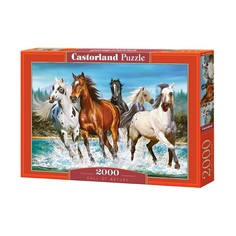Пазл «Бегущие лошади», 2000 элементов Castorland