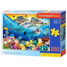 Пазл «Дельфины в тропиках», 100 элементов Castorland