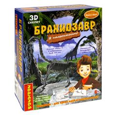 Исторические раскопки Науки с Буки, Bondibon, Брахиозавр