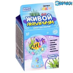 Набор для опытов «Живой аквариум-флорариум», с морскими обитателями No Brand