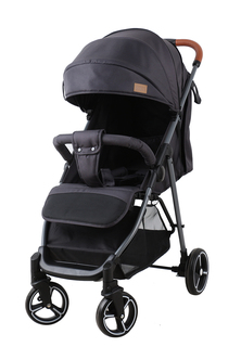 Коляска прогулочная KariKids KMT688-DG