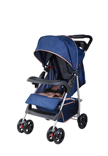 Коляска прогулочная KariKids 301CS-B23