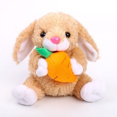 Мягкая игрушка «Кролик с морковкой», 17 см No Brand