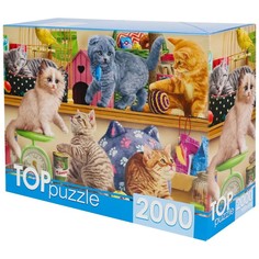 Пазл «Смешные котята в зоомагазине», 2000 элементов