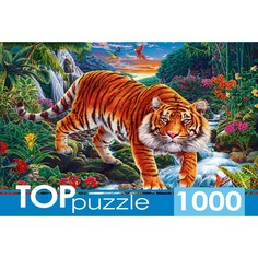 Рыжий кот Пазл «Тигр у водопада», 1000 элементов