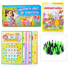 Игра логическая "Напряги извилины" №2 в коробке Задира