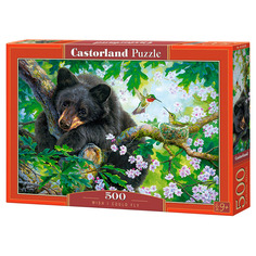 Пазлы 500 "Хотел бы я летать!" Castorland