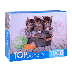 Пазлы 1000 TOPpuzzle "Три голубоглазых котёнка"