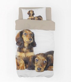 Комплект постельного белья 1,5 спальный, Детский сатин DS-106 Valtery