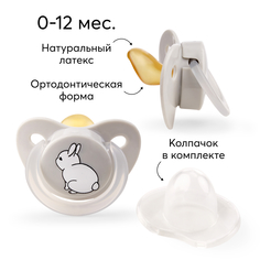 Соска-пустышка Happy Baby латексная с колпачком 0+ 13022 серая