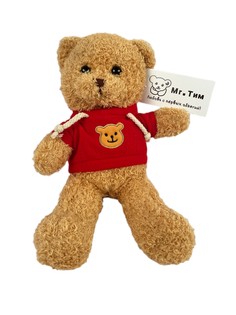 Мягкая игрушка Медведь в свитере, бежевый, 30см, в пакете No Brand