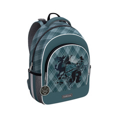 Школьный рюкзак ErichKrause ErgoLine 15L Dragon Emblem 57025