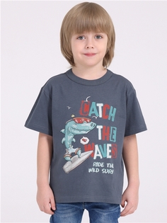 Футболка детская Апрель 1ПДФК4331001, темно-серый235 Акула на серфе, 116