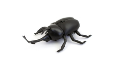 Робот Жук Рогач на пульте управления BEST FUN TOYS ZF-9996B