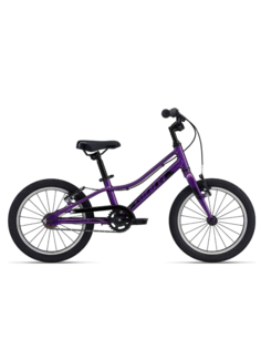 Детский велосипед Giant ARX 16 F/W, Purple