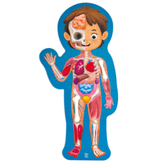 Детский пазл-игрушка Hape Как устроено тело человека, 60 элементов в кейсе E1635_HP