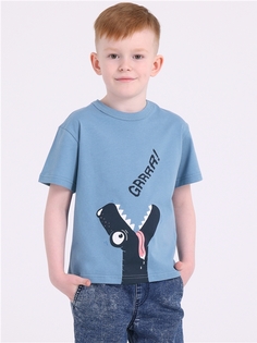 Футболка детская Апрель 1ПДФК4331001, серо-голубой250 Дино рычит, 116