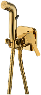 Rush Capri (CA1435-99G) Смеситель c гигиеническим душем встраиваемый, хром