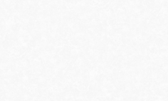 Обои WALLSECRET COMFORT 8652-11 винил на флизелине 1,06x10,05м Sangria