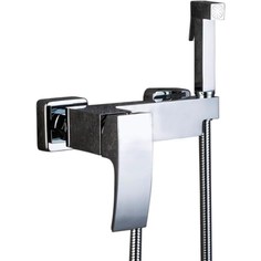 G2007-8 (гигиенический душ со смесителем.белый/хром) Gappo