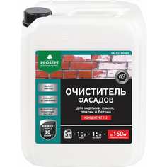 Удалитель высолов с минеральных поверхностей PROSEPT SALT CLEANER, 5л, концентрат 1:2, 021