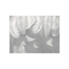 Фотообои флизелиновые встык VEROL "Перья" 12 м2, 3,0х4,0 м, 99-ФФО-05714