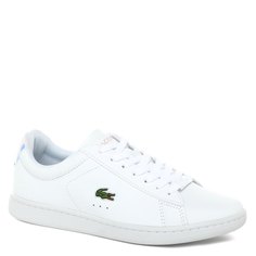 Кроссовки и кеды Lacoste