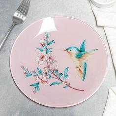 Тарелка обеденная Доляна «Колибри», d=20 см, цвет розовый