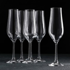 Набор бокалов для шампанского «Тулипа», 170 мл, 6 шт Crystal Bohemia