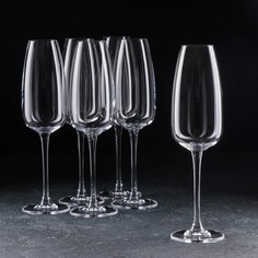Набор бокалов для шампанского Anser, 290 мл, 6 шт Crystalite Bohemia