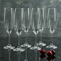 Набор бокалов для шампанского «Лара», 220 мл, 6 шт Crystal Bohemia
