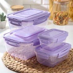 Набор контейнеров пищевых, воздухонепроницаемых 4 шт: 0,4 л, 0,8 л, 1,4 л, 2,3 л DD Style