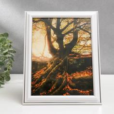 Фоторамка 15х20 281S белая с серебром (пластиковый экран) No Brand