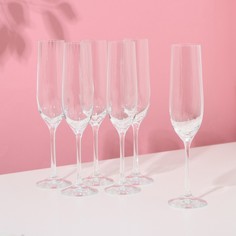 Набор бокалов для шампанского Виола, 6 шт, 190 мл, хрустальное стекло Crystal Bohemia