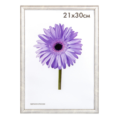 Фоторамка универсальная Minni светлое дерево 21x30 см No Brand