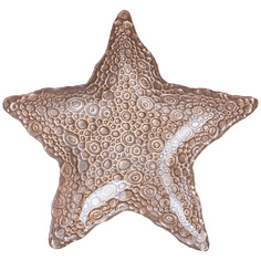 Набор из 6 штук Блюдо Bronco Starfish sand 28см стекло 336-084_