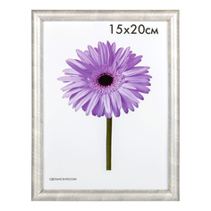 Фоторамка универсальная Minni светлое дерево 15x20 см No Brand