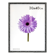 Фоторамка универсальная Minni темное дерево 30x40 см No Brand