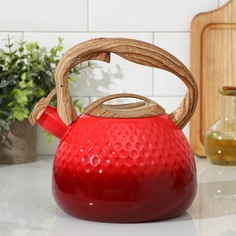 Чайник со свистком Mist, 3 л, 23х19х22 см, цвет красный No Brand