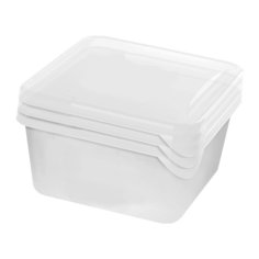 Контейнер пищевой пластик 0.75 л 3 шт квадратный Lucky Friday Frozen LF1040