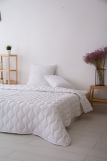 Одеяло Гарантия уюта Эвкалипт всесезонное 172х205