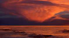 Картина на холсте 60x110 LinxOne "Природа, пейзаж, натура, флора