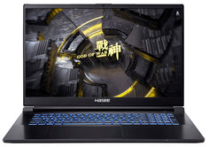 Ноутбук Hasee 173 G8-DA7NP Black