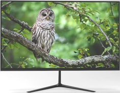 23.8" Монитор NPC MF2403-V Black 75Hz 1920x1080 VA